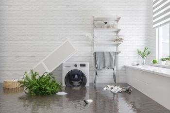 Restoration Services in Memphis, Tennessee by Mold Busters