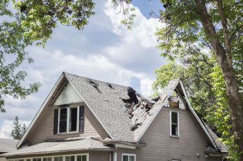 Insurance Claims in Memphis, Tennessee by Mold Busters