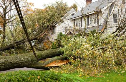 Storm damage restoration in Jericho by Mold Busters