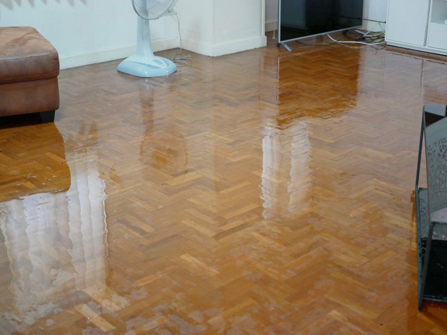 House Flooding Restoration by Mold Busters