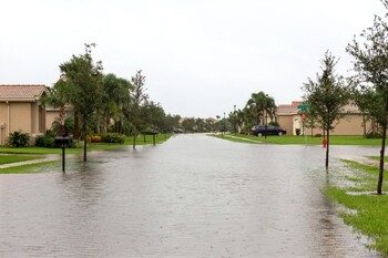 Flood Damage Restoration in Memphis, Tennessee by Mold Busters